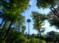 Koblenzer Fernsehturm umgeben von Bäumen und Grünfläche