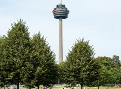Grünfläche mit vielen Menschen vor dem Kölner Fernsehturm